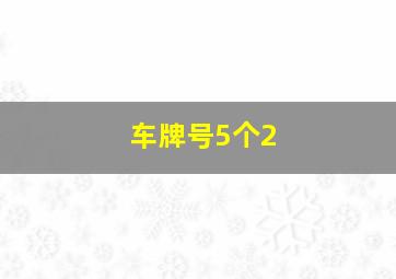 车牌号5个2