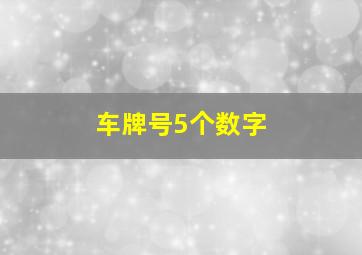 车牌号5个数字