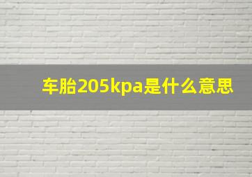 车胎205kpa是什么意思