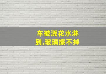 车被浇花水淋到,玻璃擦不掉