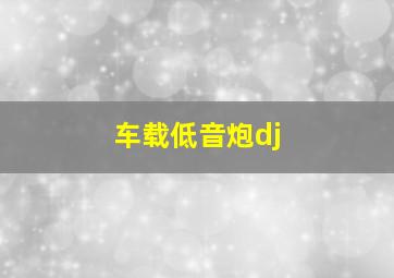 车载低音炮dj