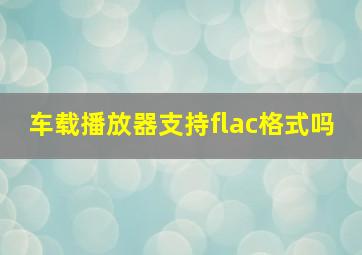 车载播放器支持flac格式吗