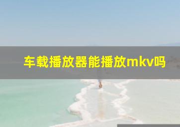 车载播放器能播放mkv吗