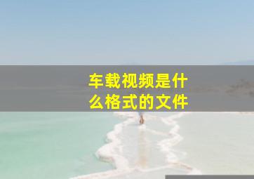 车载视频是什么格式的文件