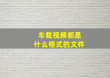 车载视频都是什么格式的文件