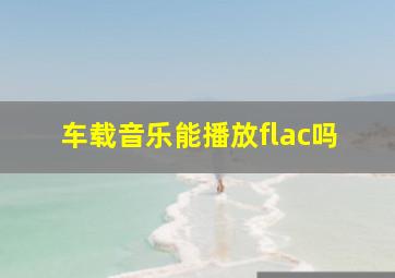 车载音乐能播放flac吗