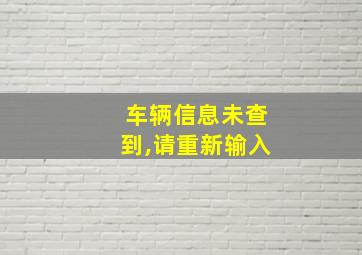 车辆信息未查到,请重新输入