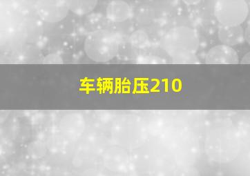 车辆胎压210