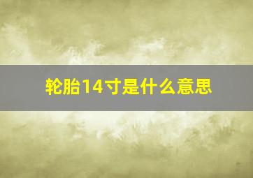 轮胎14寸是什么意思