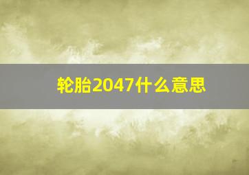 轮胎2047什么意思