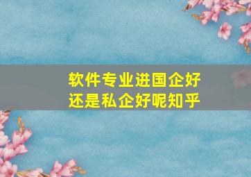 软件专业进国企好还是私企好呢知乎