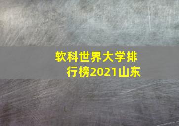 软科世界大学排行榜2021山东