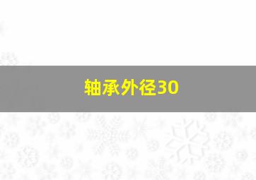 轴承外径30