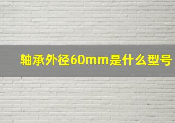 轴承外径60mm是什么型号