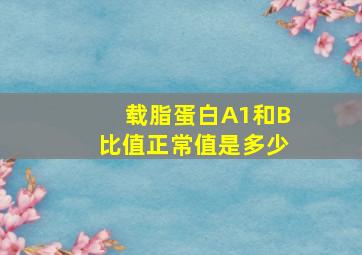 载脂蛋白A1和B比值正常值是多少