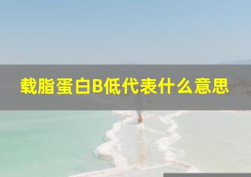 载脂蛋白B低代表什么意思