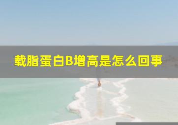 载脂蛋白B增高是怎么回事