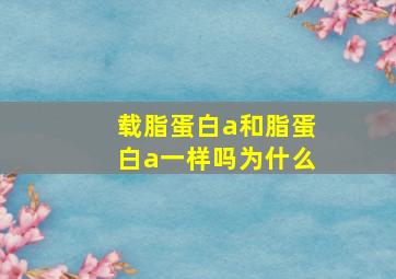 载脂蛋白a和脂蛋白a一样吗为什么