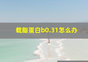 载脂蛋白b0.31怎么办