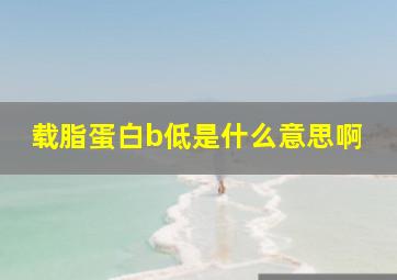 载脂蛋白b低是什么意思啊