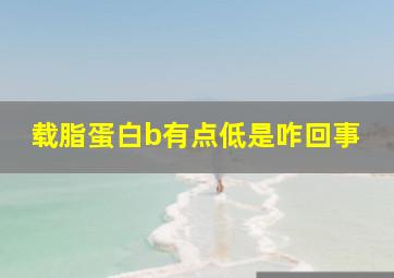 载脂蛋白b有点低是咋回事