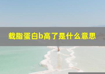 载脂蛋白b高了是什么意思