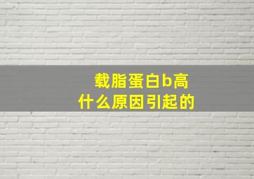 载脂蛋白b高什么原因引起的