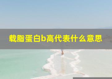 载脂蛋白b高代表什么意思