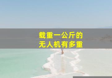 载重一公斤的无人机有多重