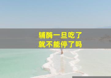 辅酶一旦吃了就不能停了吗