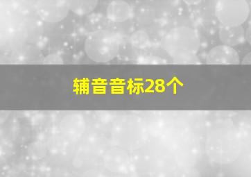 辅音音标28个