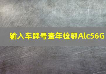 输入车牌号查年检鄂Alc56G