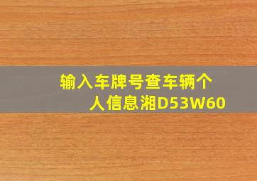 输入车牌号查车辆个人信息湘D53W60