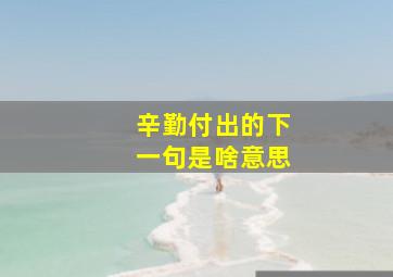 辛勤付出的下一句是啥意思