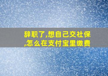 辞职了,想自己交社保,怎么在支付宝里缴费