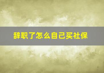 辞职了怎么自己买社保