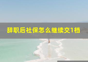 辞职后社保怎么继续交1档