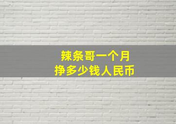 辣条哥一个月挣多少钱人民币