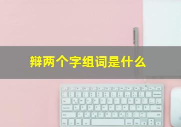 辩两个字组词是什么