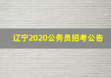 辽宁2020公务员招考公告