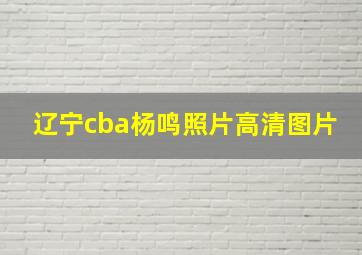 辽宁cba杨鸣照片高清图片