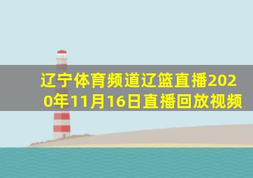 辽宁体育频道辽篮直播2020年11月16日直播回放视频