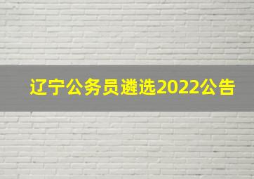 辽宁公务员遴选2022公告