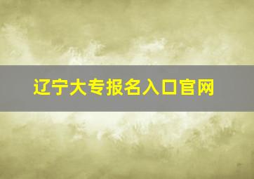 辽宁大专报名入口官网