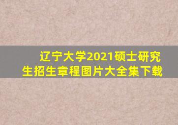 辽宁大学2021硕士研究生招生章程图片大全集下载