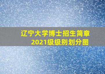 辽宁大学博士招生简章2021级级别划分图