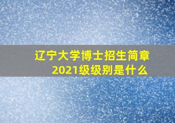 辽宁大学博士招生简章2021级级别是什么