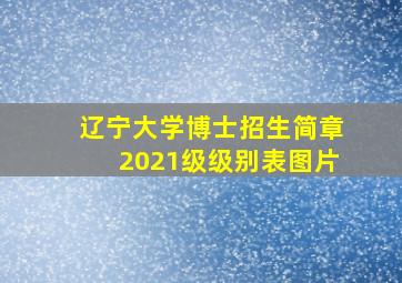 辽宁大学博士招生简章2021级级别表图片