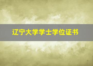 辽宁大学学士学位证书