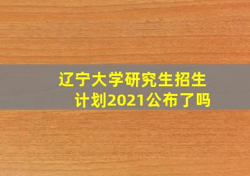 辽宁大学研究生招生计划2021公布了吗